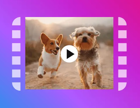 Instagram Video Downloader