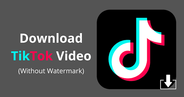 Tiktok Downloader