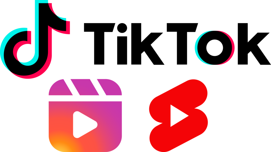 TikTok Video Downloader